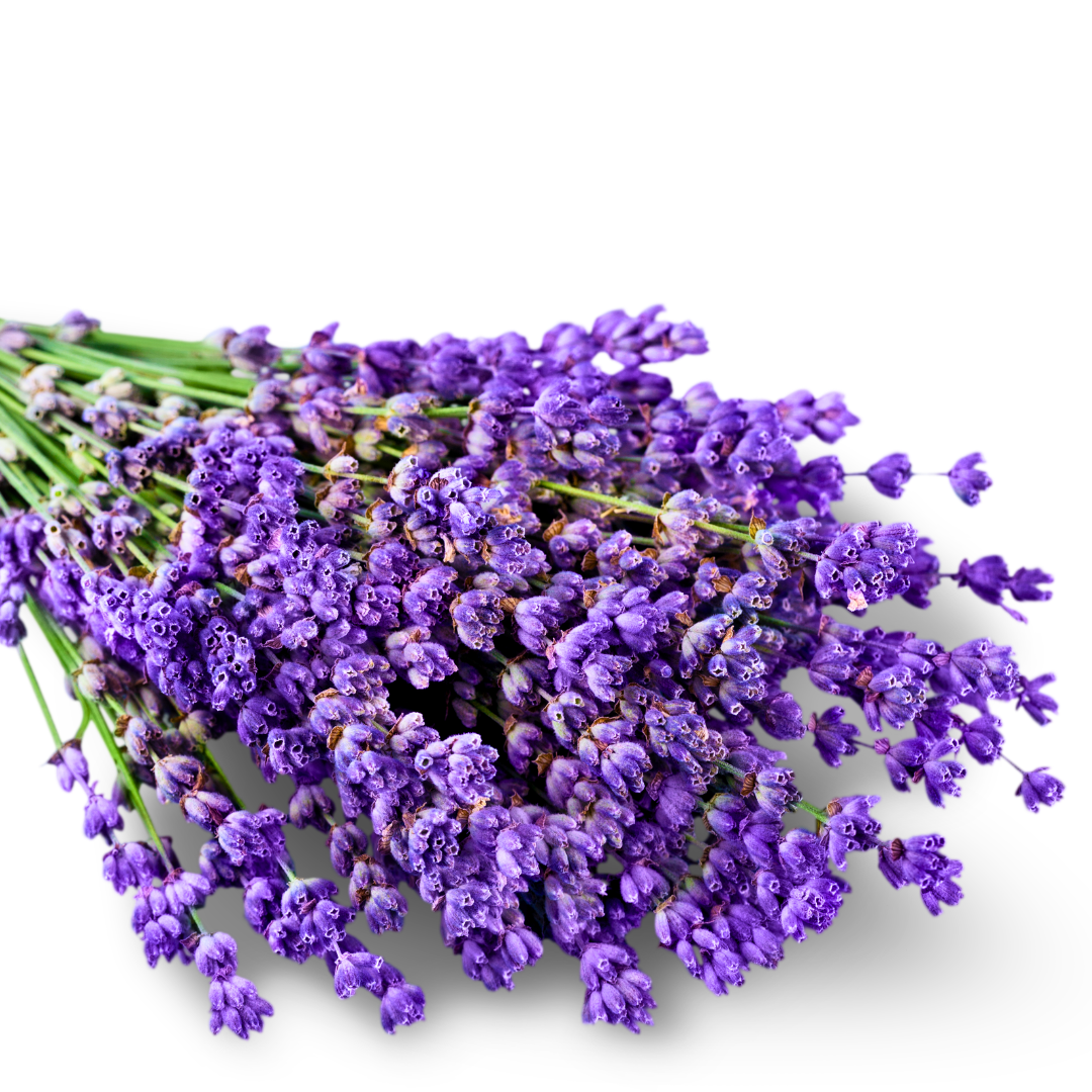 Pure Lavender Essential Oil