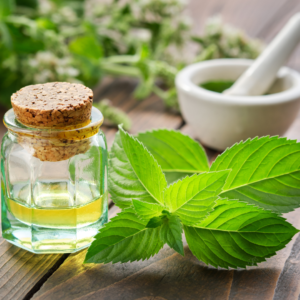 Organic Peppermint Essential Oil