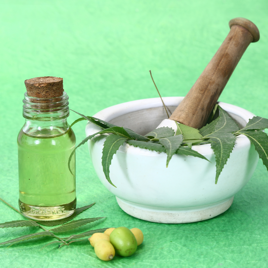 Neem Essential Oil - Image 3