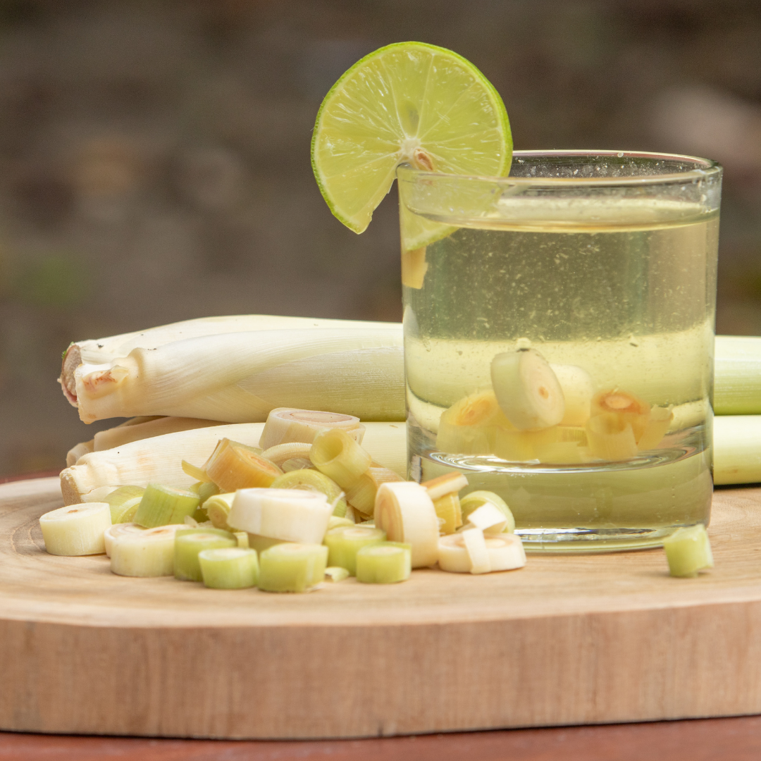 Natural Citronella Essential Oil - Image 4