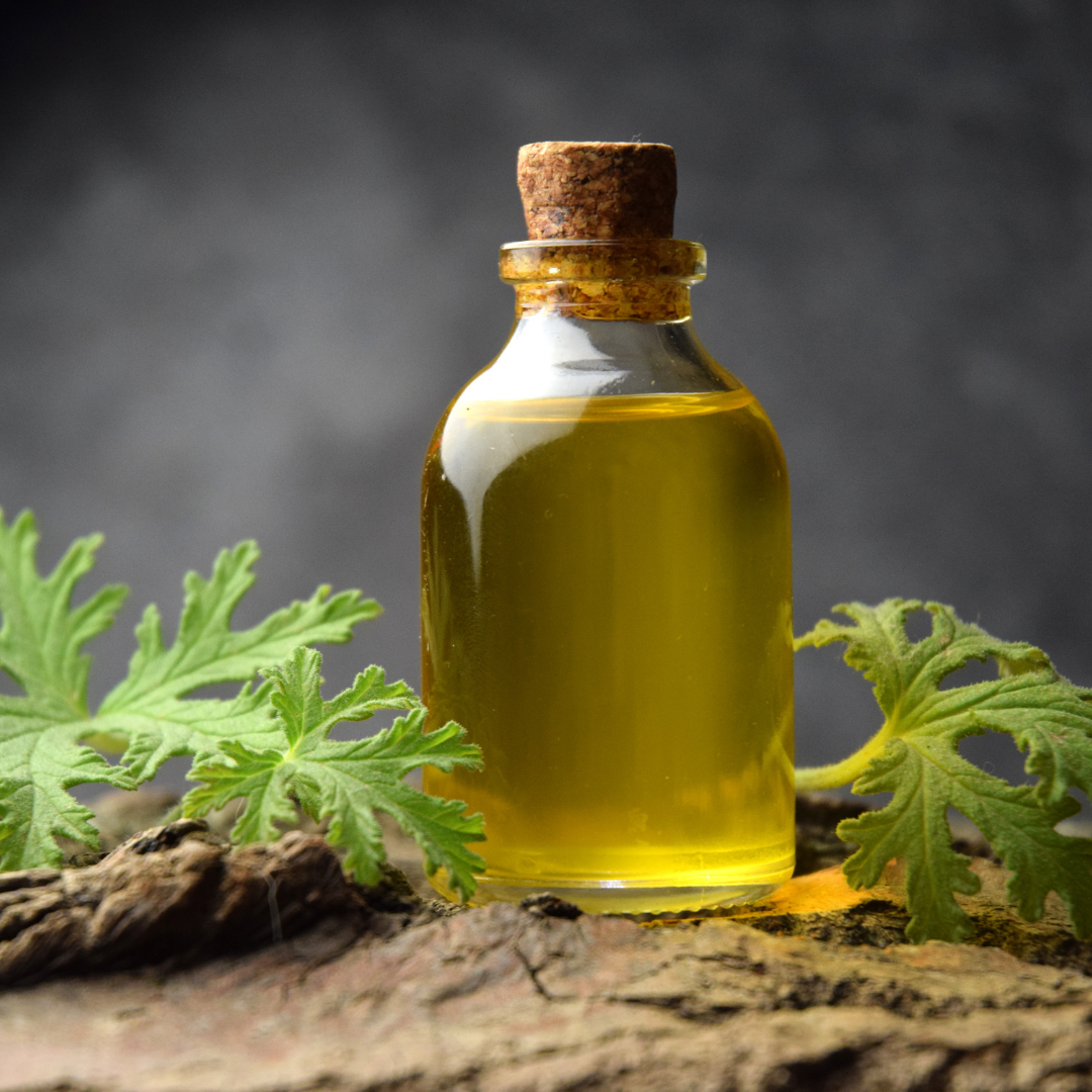 Natural Citronella Essential Oil - Image 2