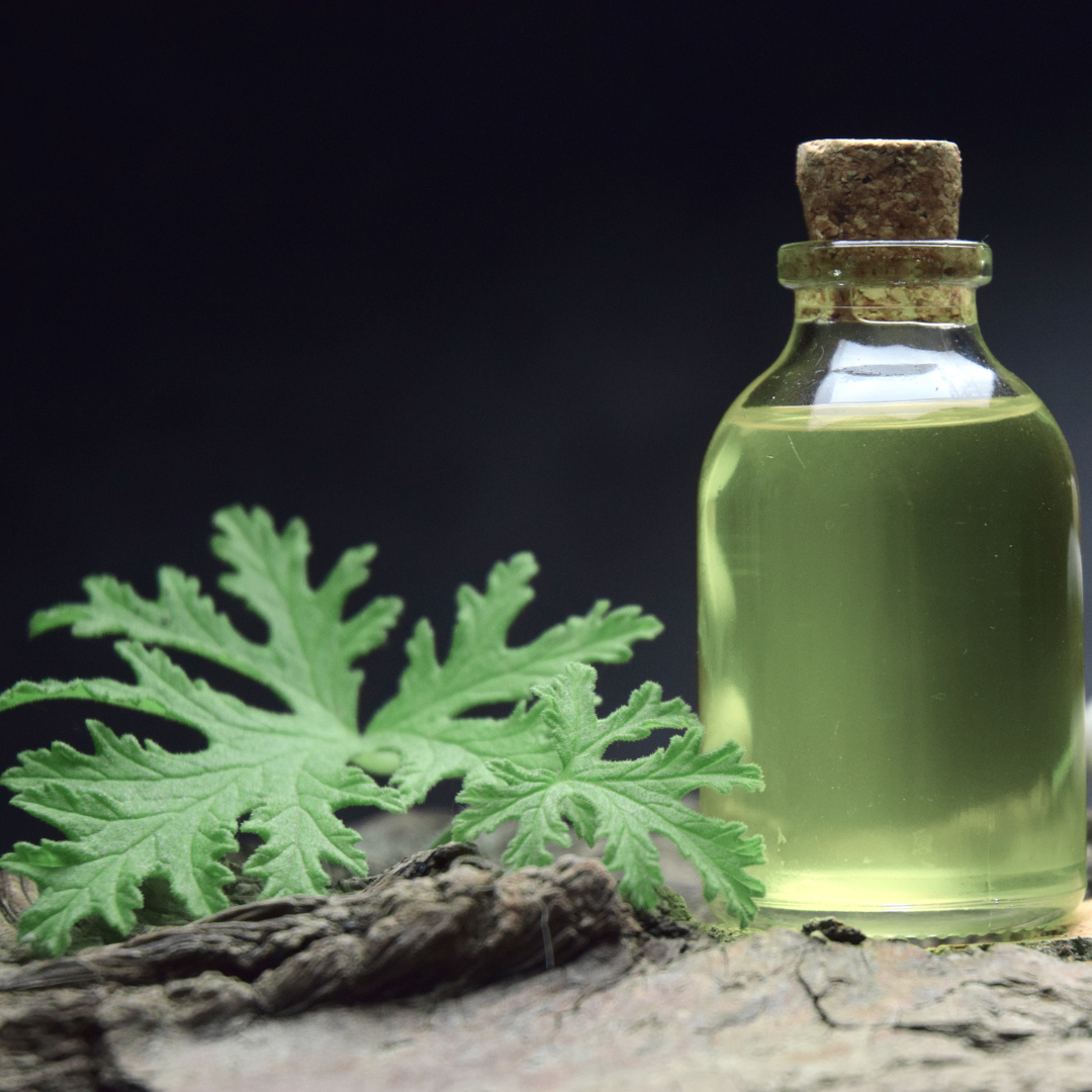 Natural Citronella Essential Oil - Image 3